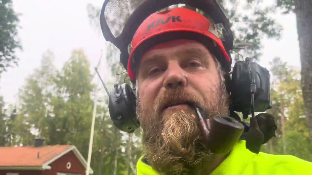 Special jobb. Fälla en del av en björk från fyrhjulingen.