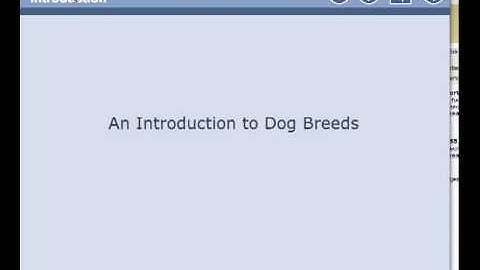 Xerte Title Page - 4 - Previewing a Page