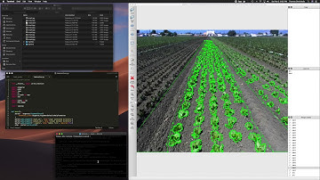 Crop Row Annotation Process