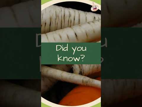 Video: Pasternak är en oförtjänt bortglömd grönsak, men väldigt användbar
