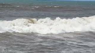 IMG 1115