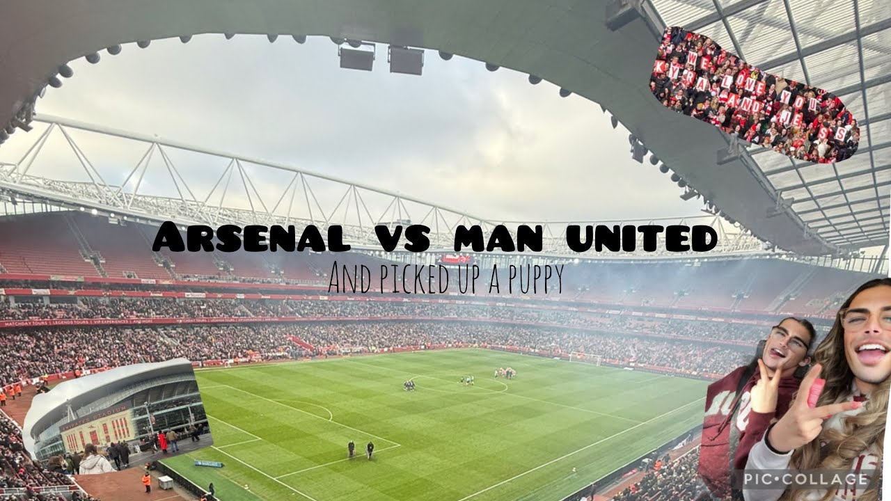 Come with me to Arsenal vs man united and pick up a puppy!!!!