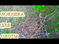 Ловушка из подручных средств (лайфхак для выживания)