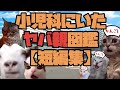 小児科にいたヤバ親図鑑【短編集】