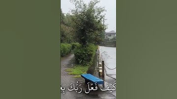 القران الكريم تلاوة ماهر المعيقلي سورة الفجر #المصحف #اكسبلور #راحة_نفسية
