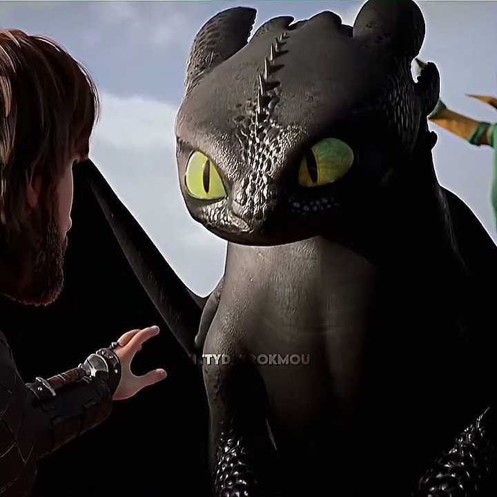 'Remember me'? #httyd #toothless #hiccuphaddock #httyd3 @biansage