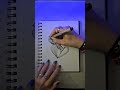 Drawing with Sakura Pigma Micron, Unipin, Manuscript and Sharpie #drawing