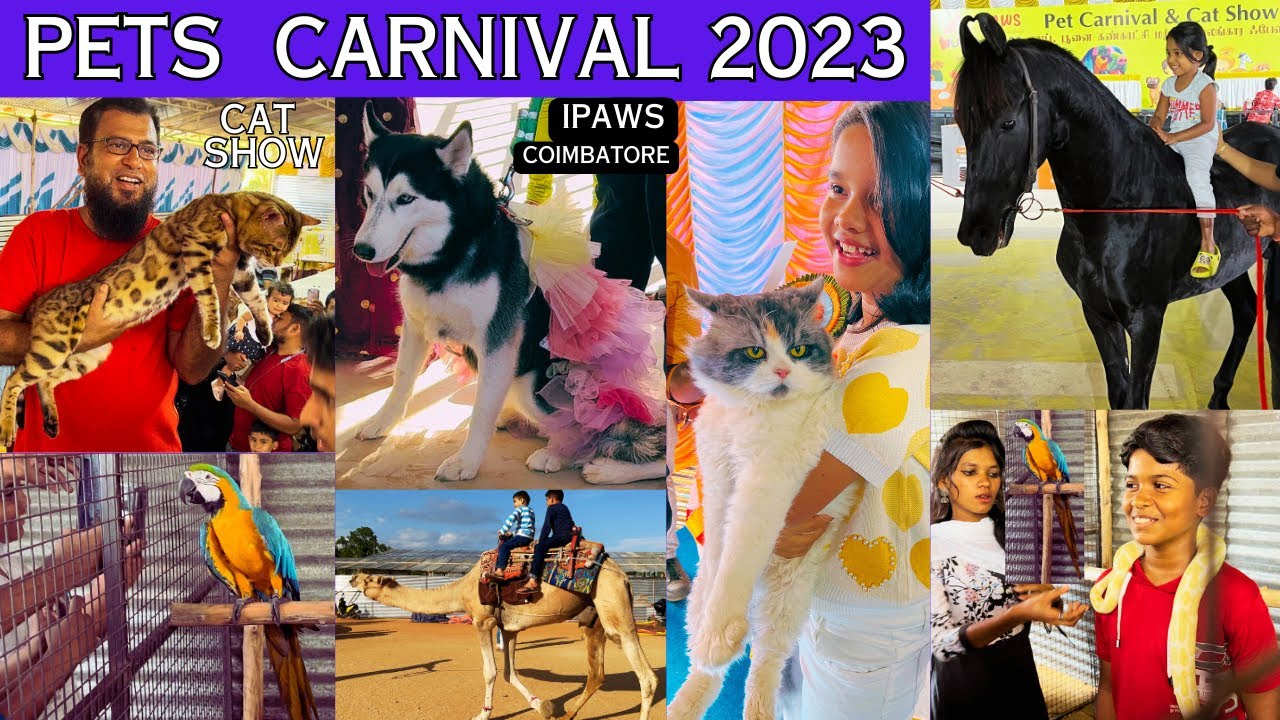 Ptes Show PETS CARNIVAL 2023 | செல்லபிராணி கண்காட்சி | CAT SHOW #pets #carnival # ...