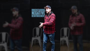 Understanding Negative Reinforcement
