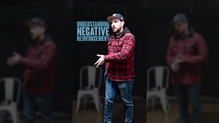 Understanding Negative Reinforcement
