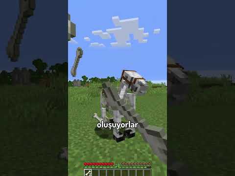 Minecraft'ın En Nadir