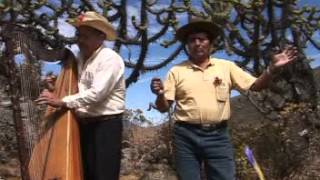 Video thumbnail of "Mala mujer - Lucio y Tomás Pacheco"