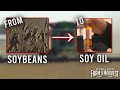 From Soybeans to Soil Oil | Maryland Farm & Harvest