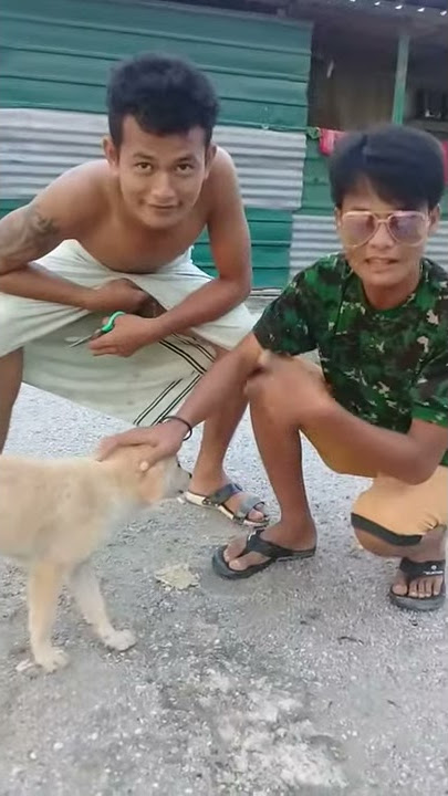 Lucu ngakak biang jagal versi bru 😋😂😂😂