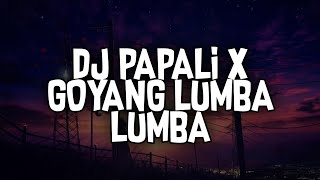 FREE FLM‼️DJ PAPALI X GOYANG LUMBA LUMBA SLOW