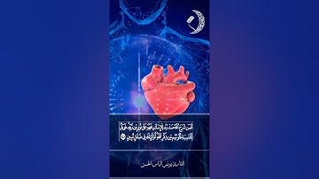 أجمل تلاوة من سورة الزمر القارئ يونس الياس الحسن  *قرية أبو ماريا *