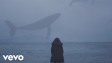 Emilie Nicolas - Pstereo (Official Video)