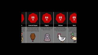 Comparison: Loudest Animals | Genius Comparison #animals #comparison #comparisonvideo