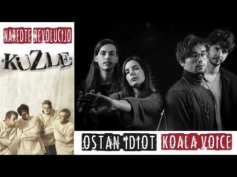 Koala Voice Ostan Idiot KuZle Cover 2020 Official Audio 
