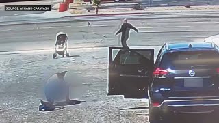 Man saves baby in runaway stroller headed for busy street