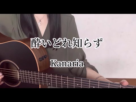 酔いどれ知らず/Kanaria/ギター/弾き語りcover