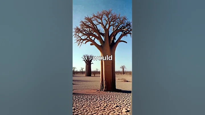 If Baobab Trees Disappeared, Africa Would Change Forever 🤯 | #Shorts #facts #naturelovers