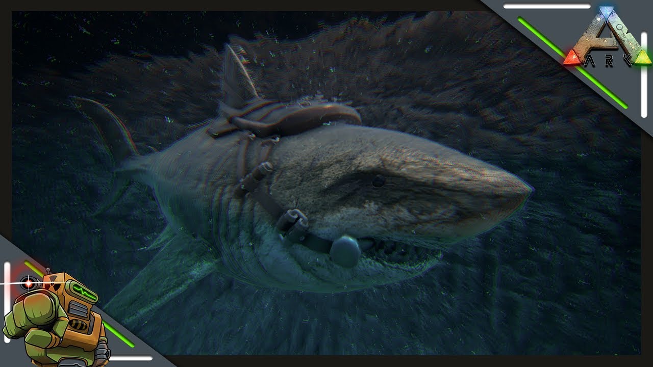 games people play Megalodon Tame! | Ark: Survival Evolved | Season 1 Episode 31