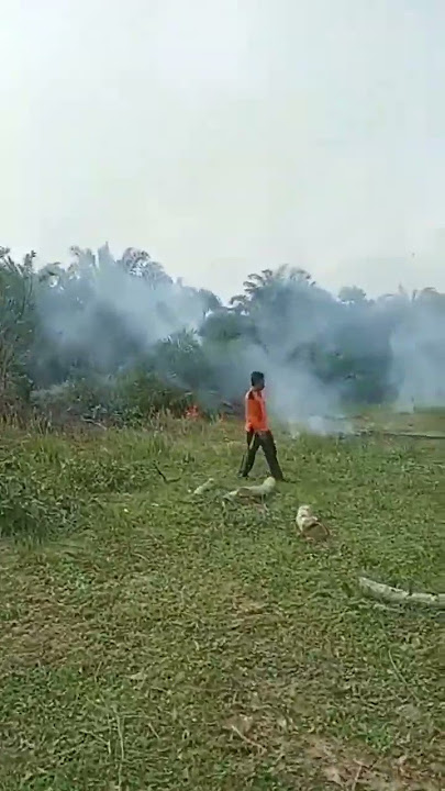 Lari Ketakutan Mendengar Suara Tawa Aneh#shorts