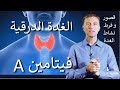 خمول الغدة أهمية فيتامين أ لقصور الغدة الدرقية 