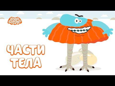 Части Тела - Бодо Бородо | Премьера | Мультфильмы Для Детей 0