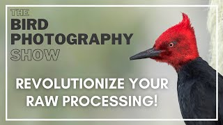 Revolutionize your RAW Processing! screenshot 4