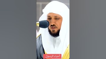 سورة يونس ❤️ ماهر المعيقلي