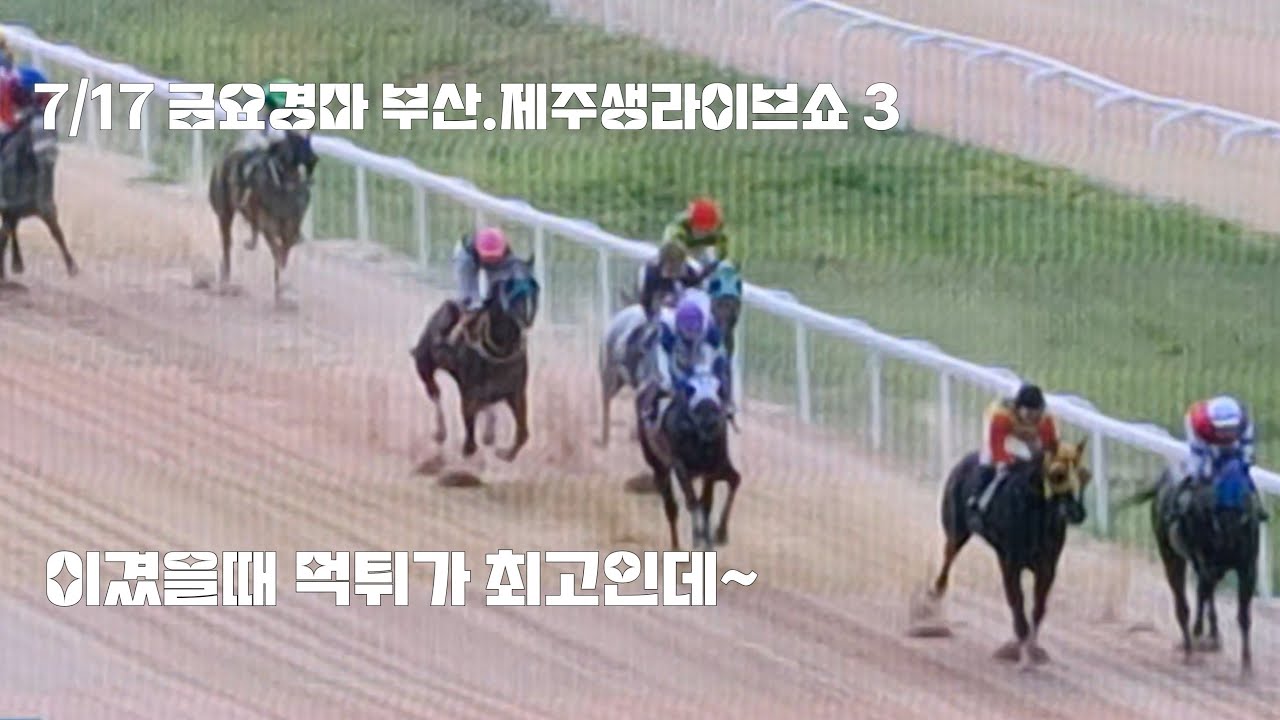 경마가 왠일이지? 삼쌍까지 먹네?(금요경마 부산5.6경주/.제주 5.6.7경주)