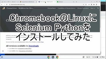 ChromebookのLinuxにSelenium Pythonをインストールしてみた