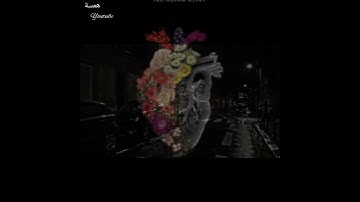 الذين آمنوا وتطمئن قلوبهم بذكر الله♥️🌼حالات واتس اب دينية 💜ستوريات انستا💚القارئ إسلام صبحي💛