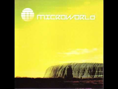 Microworld - Skidoo
