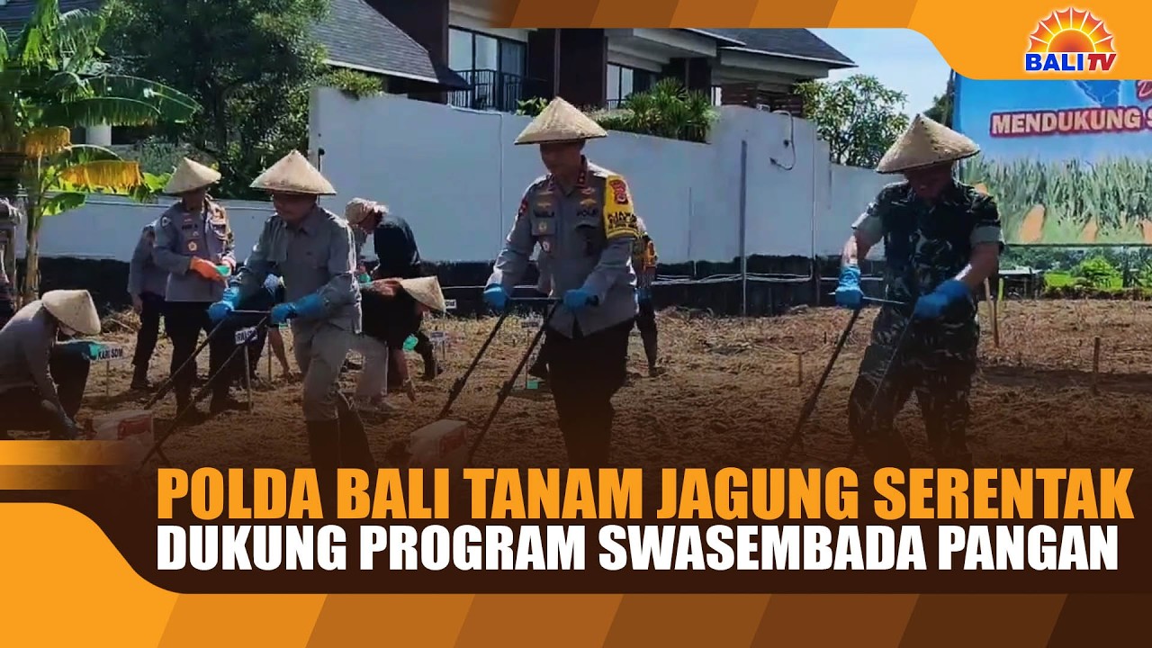 POLDA BALI TANAM JAGUNG SERENTAK DUKUNG PROGRAM SWASEMBADA PANGAN