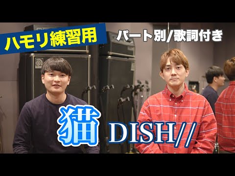 【ハモリ練習用】「猫 - DISH//」パート別/歌詞付き　カラオケで使える！はず！