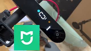 Xiaomi Electric Scooter 4 Lite - хороший бюджетный электросамокат