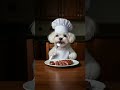 강아지 셰프의 따뜻한 식탁 | Puppy Chef’s Heartwarming Dinner #스테이크 #강아지 #shorts