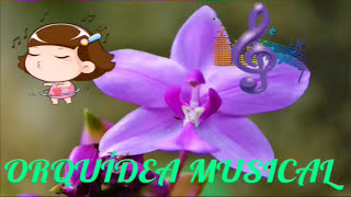 ACORDES SOSTENIDOS Y BEMOLES - CUATRO VENEZOLANO - ORQUÍDEA MUSICAL