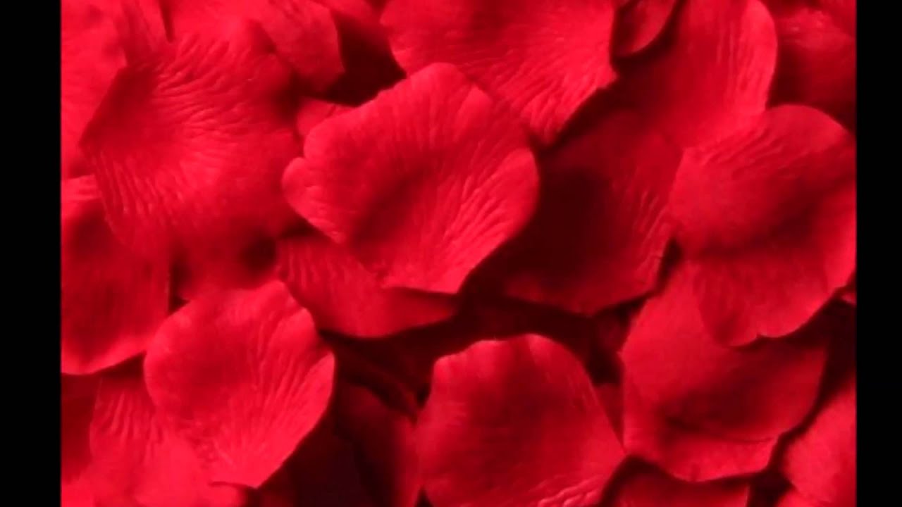 Wedding Table Silk Rose Petals american floral network red wedding silk rose petals usa youtube usa