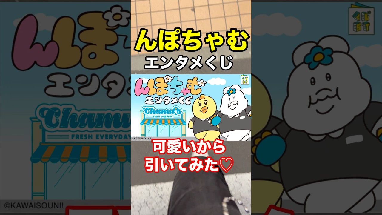 んぽちゃむ】エンタメくじ❗️可愛いから引いてみた‼︎ #んぽちゃむ