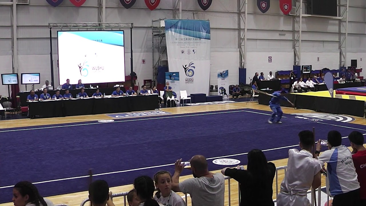 12th Pan American Wushu Championships Adult Taolu: Gunshu: Male - Matthew Lee (Silver)