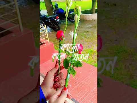 subscribe plz #subscribe #unfrezzmyaccount