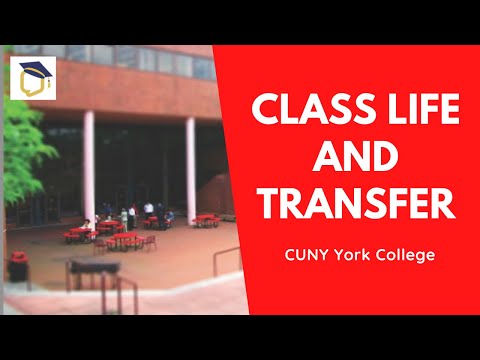 CUNY York College: Former Student Discusses Transfer and Class Life