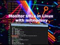 Monitor URLs in Linux with Mitmproxy – Quick Guide to Install Mitmproxy and Analyze Web Traffic!