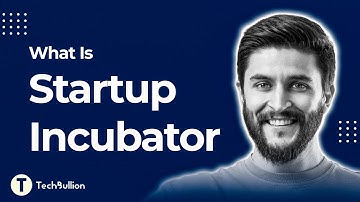 What Is a Startup Incubator? The Secret to Turning Ideas into Billion-Dollar Businesses! 💡