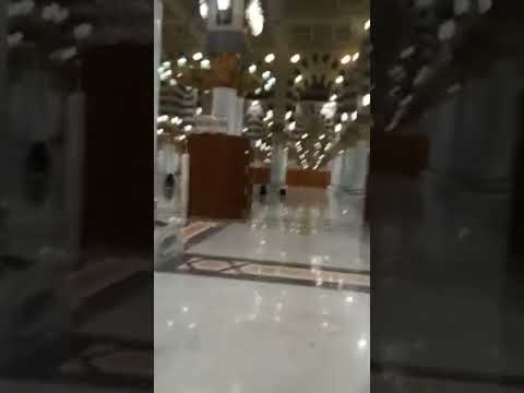 عود يا رسولنا واخصب محولنا ولو مرة زورنا نور دجورنا