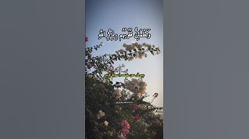 عبد الرحمن مسعد | سورة الرعد (آية ٢٨)